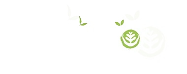 Logo Taiyo Matcha